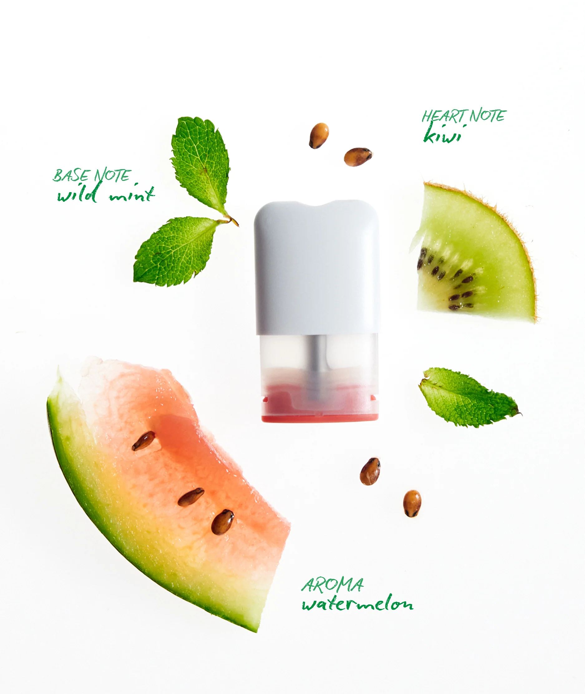 BLISS Pods - Image 4