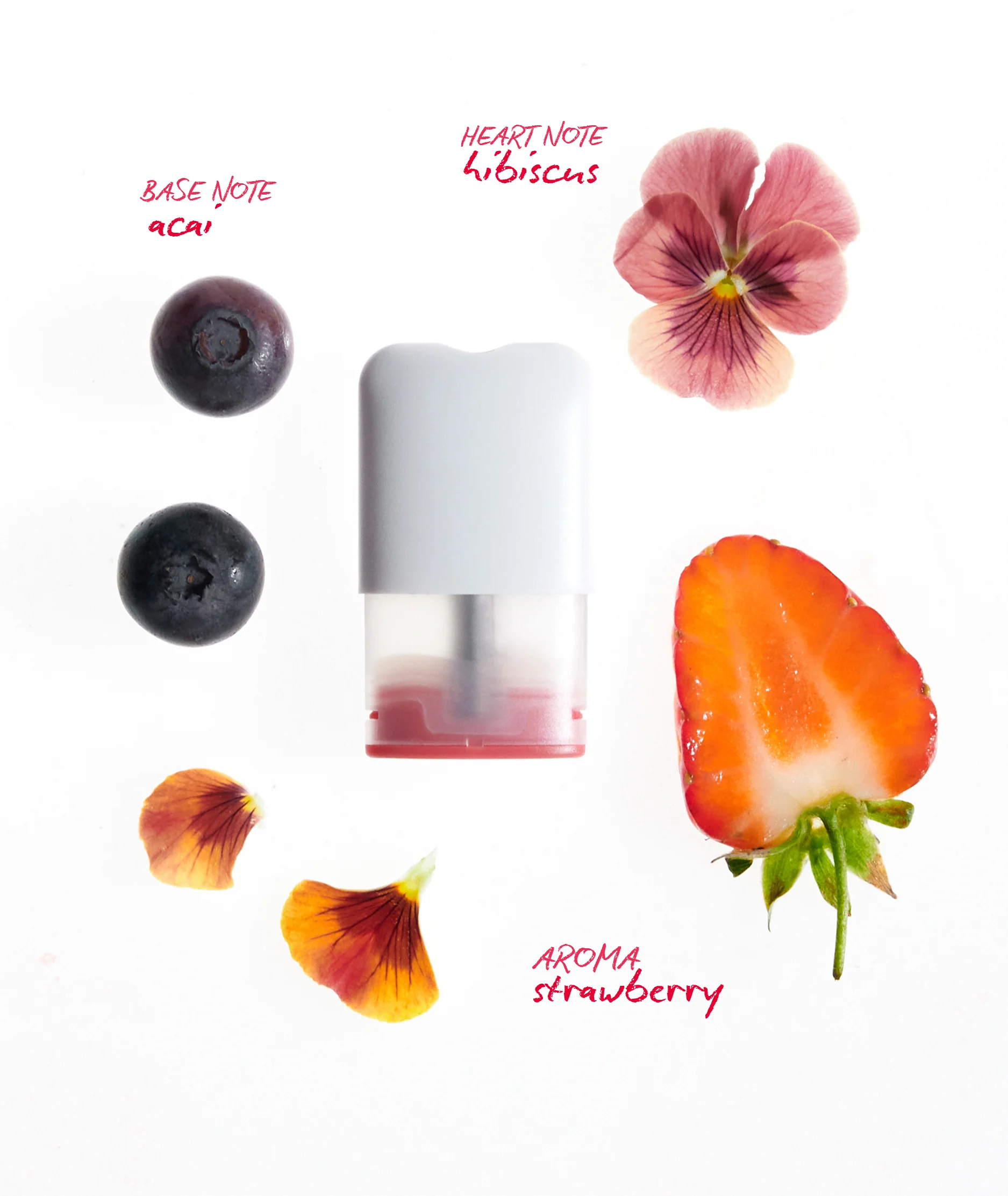 BOOST Pods - Image 4