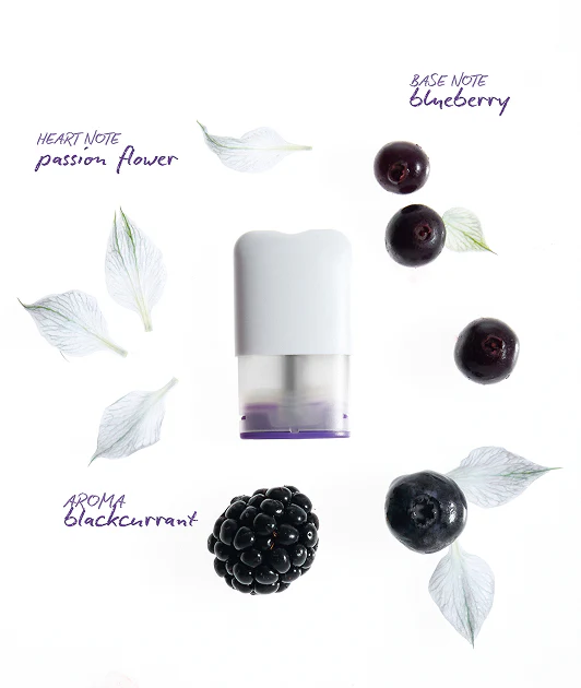 DREAM Pods - Image 4