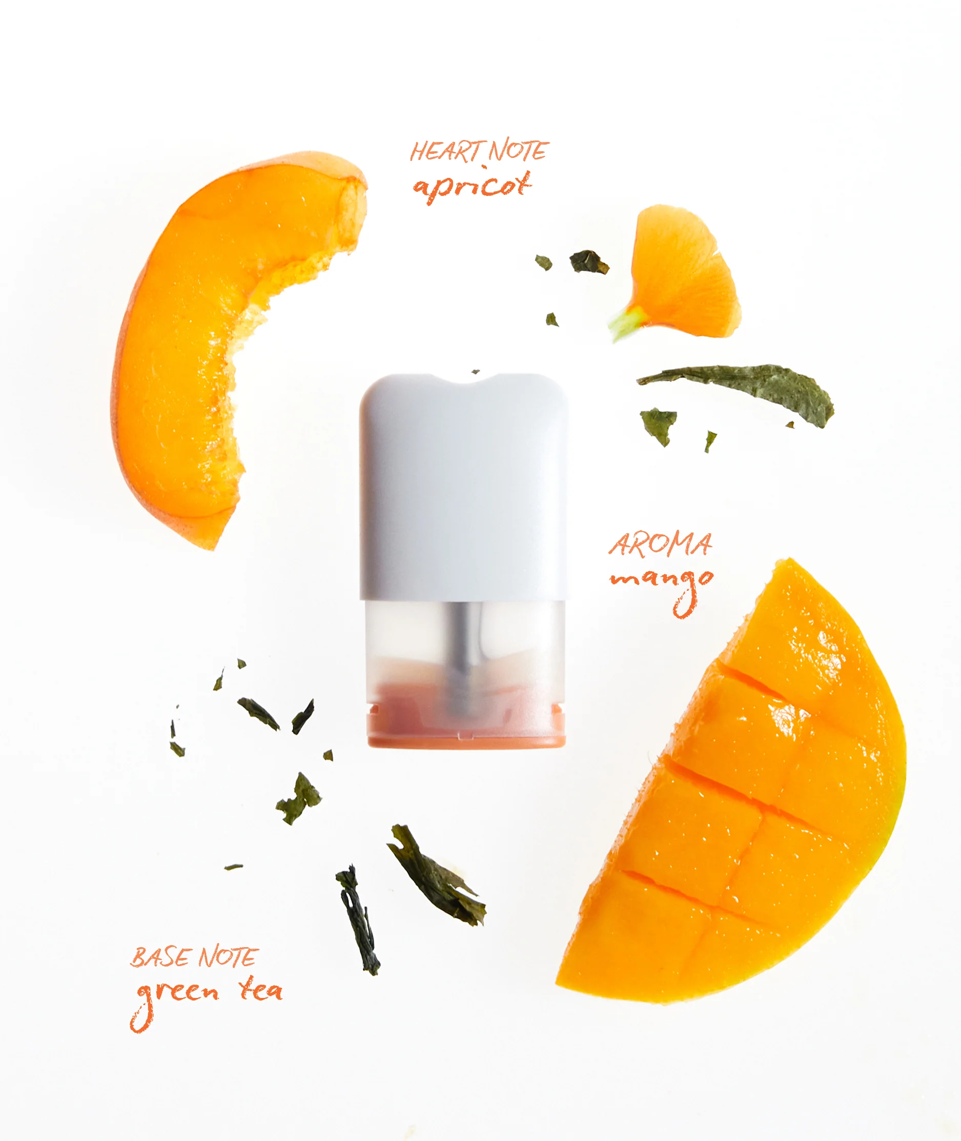 FOCUS Pods - Image 4