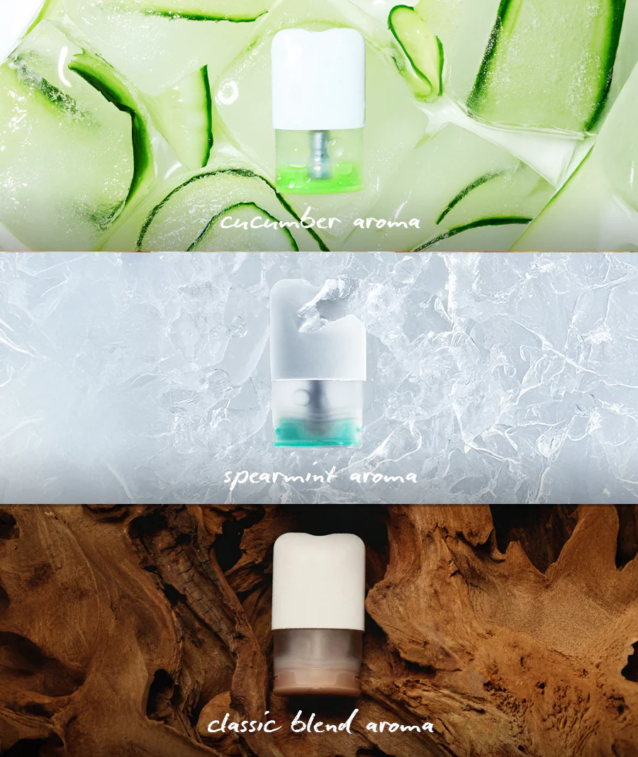 LIMITED ESSENTIALS - Image 3