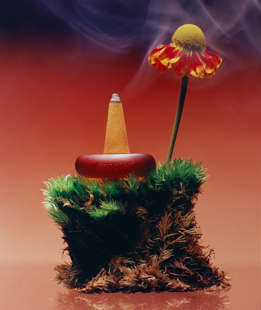 Mandarin Peel - Image 5