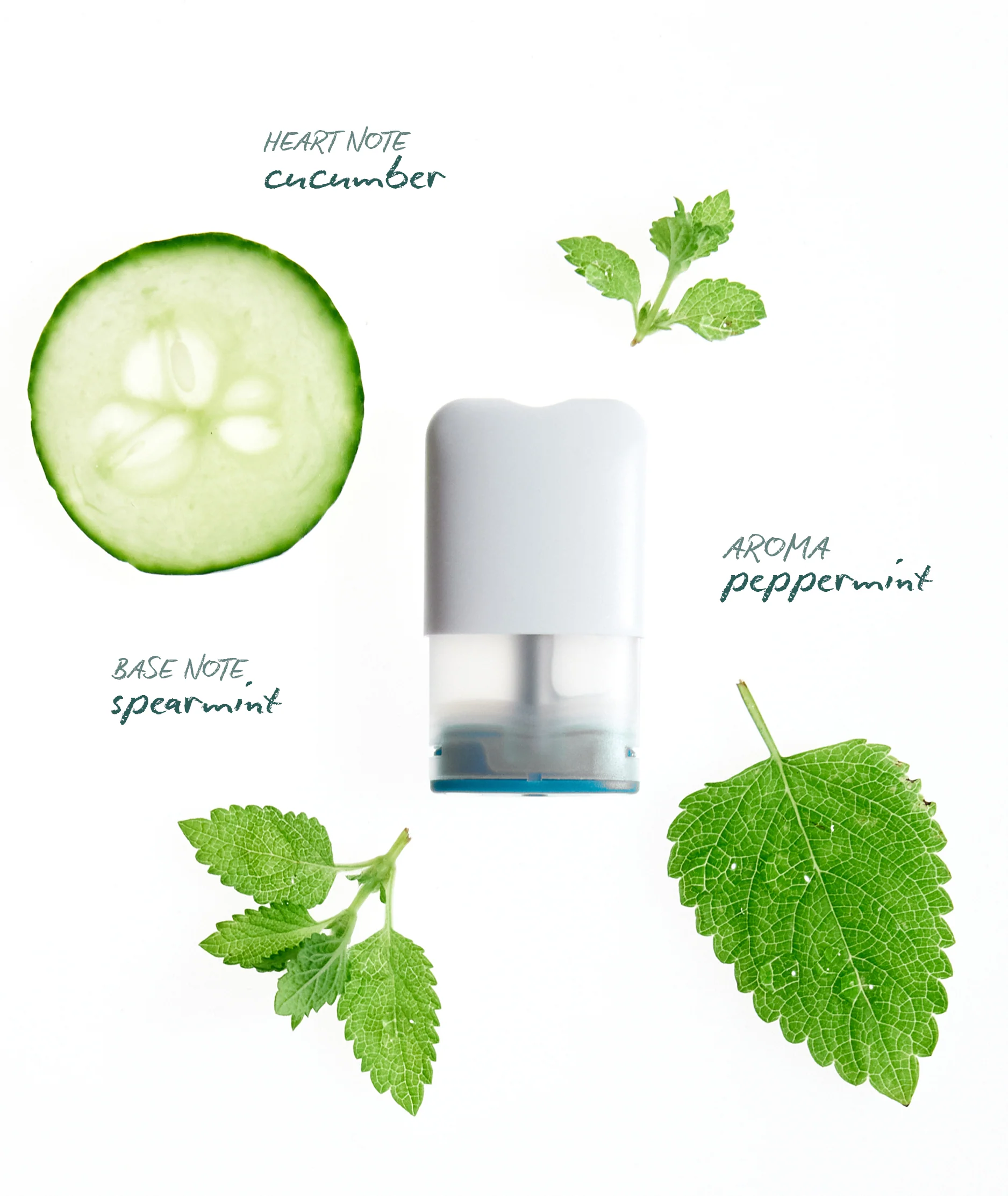 POWER Pods - Image 4